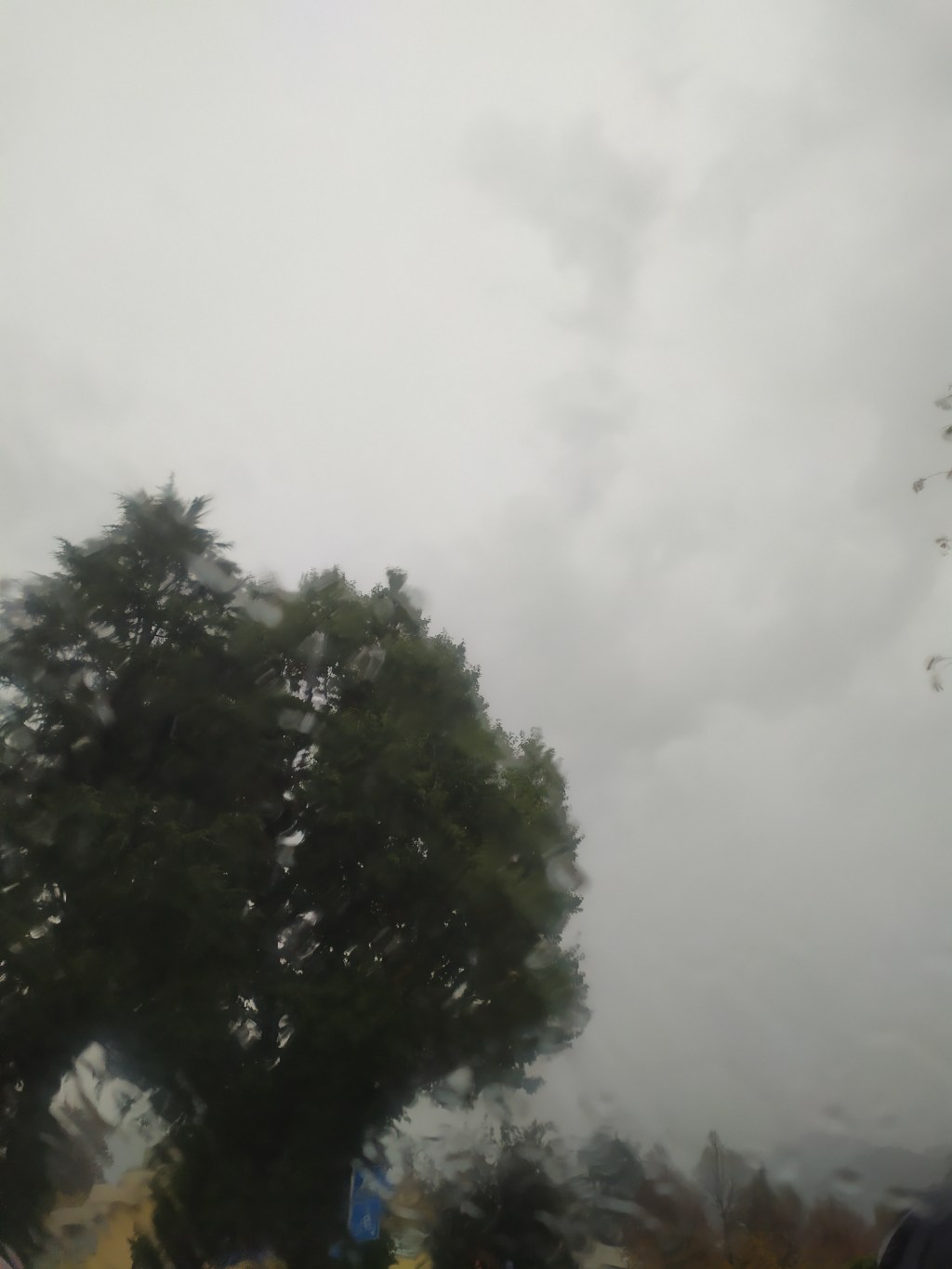 Piogge: da domani torna il bel&nbsp;tempo.