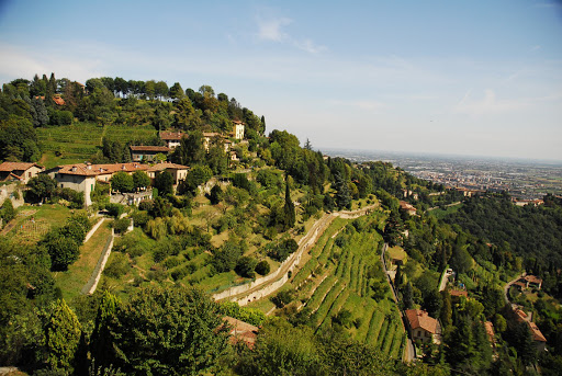 Incendi boschivi: si innalza il livello di rischio nel Parco dei&nbsp;Colli