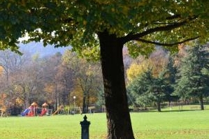 Il Parco Camozzi verrà chiuso il 19 luglio per manutenzione degli&nbsp;alberi