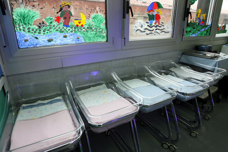 Tonfo delle nascite: nel 2023 solo 20 culle a Ranica, crollano i nati in vent’anni.