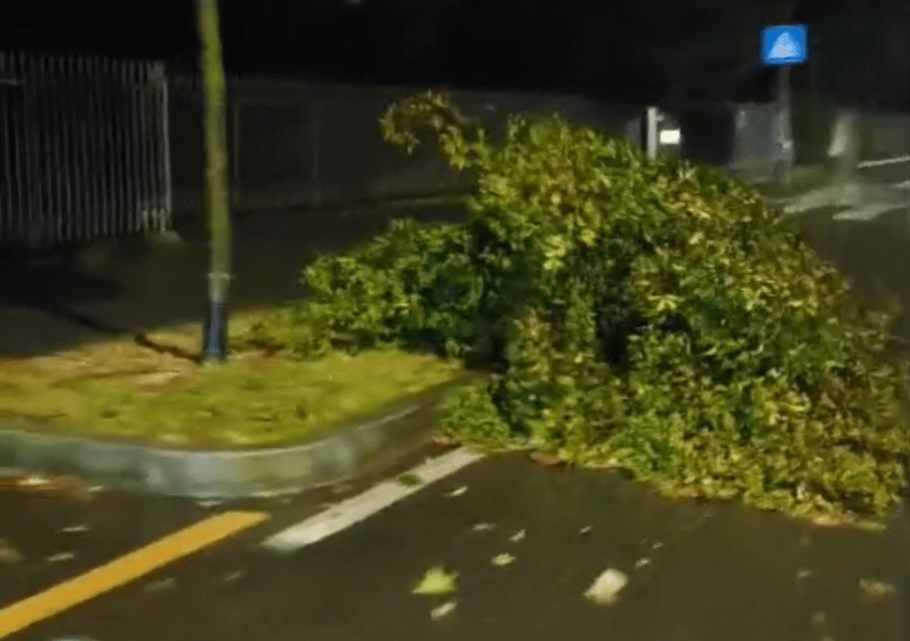 Maltempo: i fulmini spengono il paese, centinaia di utenze in blackout per un’ora. Il vento oltre i 70 km/h abbatte alcuni&nbsp;alberi.